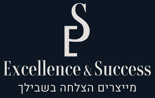 Excellence & Success - ייעוץ אסטרטגי ויישום עסקי